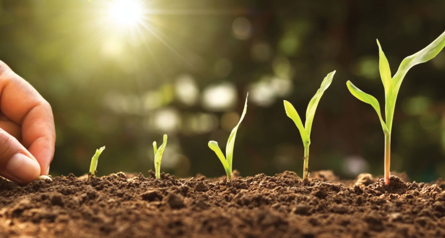 Seguro agropecuario ante eventos climáticos